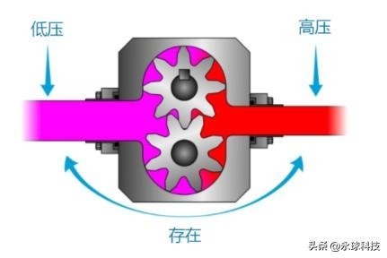 1682996662112928.jpg 5.jpg